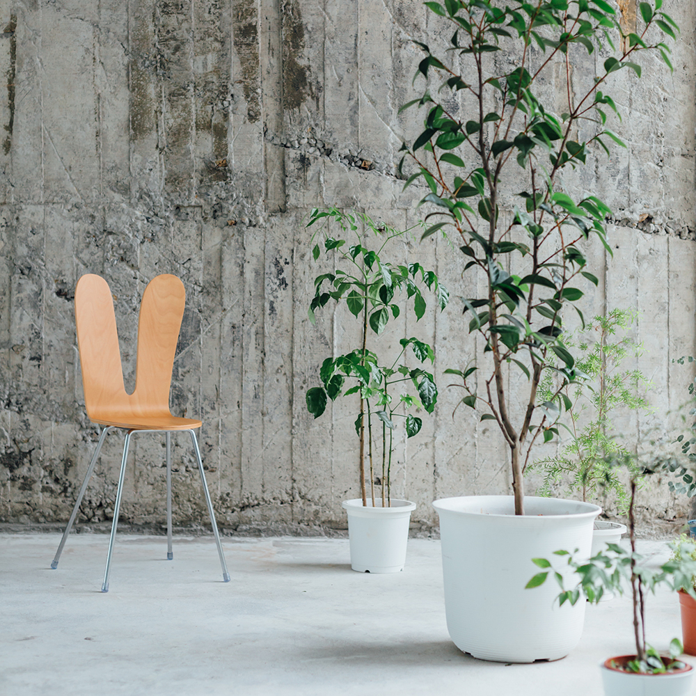 椅子 BENCA JASMINE Dining chair H arm BENCA JASMINE Dining chair H arm / ベンカ ジャスミン