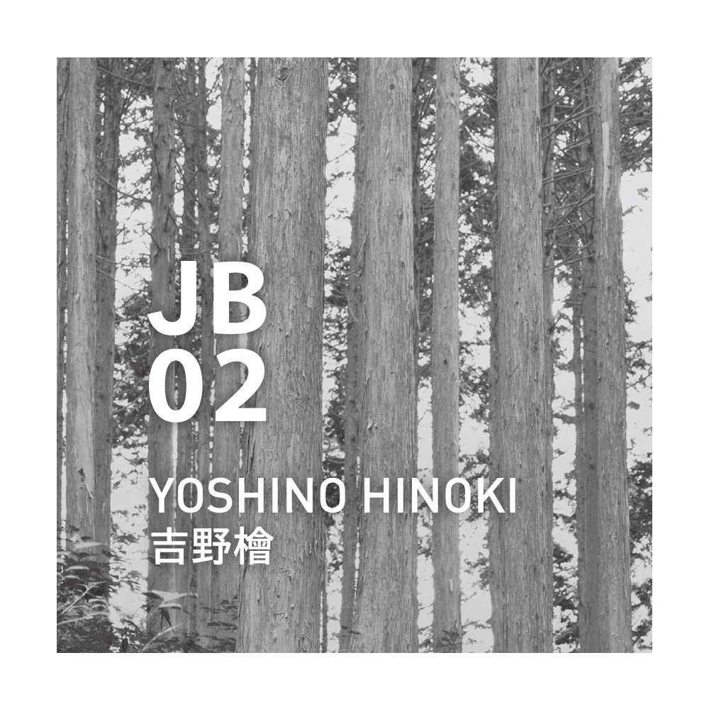 Japanese Air 日式本真系列JB02 精油（吉野檜、10ml） | 北歐櫥窗NORDIC